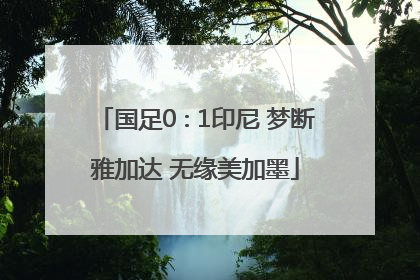 国足0∶1印尼 梦断雅加达 无缘美加墨