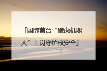国际首台“壁虎机器人”上岗守护核安全