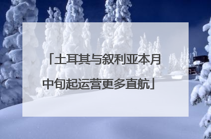 土耳其与叙利亚本月中旬起运营更多直航