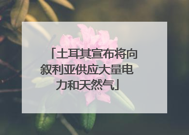 土耳其宣布将向叙利亚供应大量电力和天然气