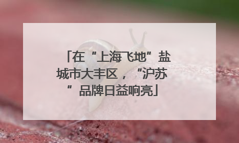 在“上海飞地”盐城市大丰区，“沪苏”品牌日益响亮