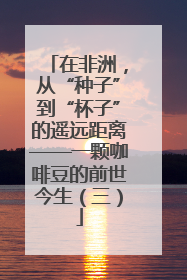 在非洲，从“种子”到“杯子”的遥远距离——一颗咖啡豆的前世今生（三）