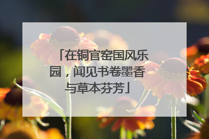 在铜官窑国风乐园，闻见书卷墨香与草本芬芳