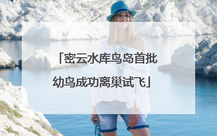 密云水库鸟岛首批幼鸟成功离巢试飞