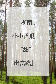 孝南：小小香瓜 “甜”出富路