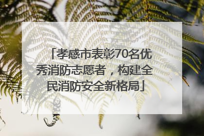 孝感市表彰70名优秀消防志愿者，构建全民消防安全新格局