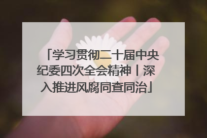 学习贯彻二十届中央纪委四次全会精神丨深入推进风腐同查同治