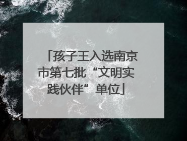 孩子王入选南京市第七批“文明实践伙伴”单位