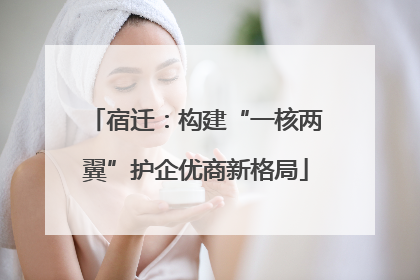 宿迁：构建“一核两翼”护企优商新格局