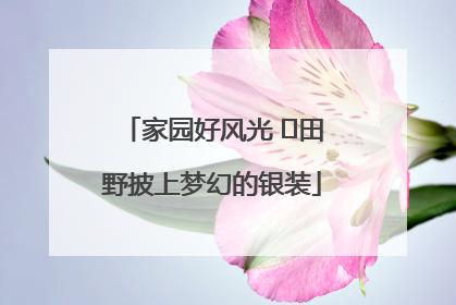 家园好风光 ⎮田野披上梦幻的银装
