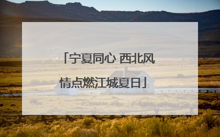 宁夏同心 西北风情点燃江城夏日