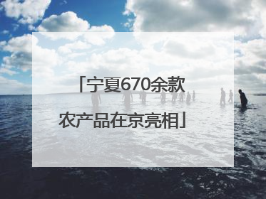 宁夏670余款农产品在京亮相