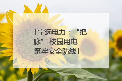 宁远电力：“把脉” 校园用电 筑牢安全防线