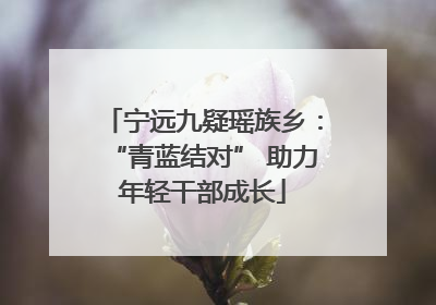 宁远九疑瑶族乡：“青蓝结对” 助力年轻干部成长