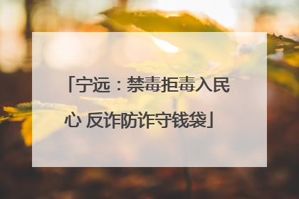 宁远：禁毒拒毒入民心 反诈防诈守钱袋
