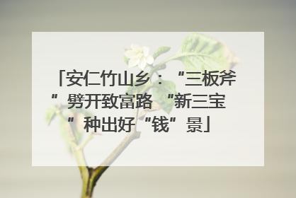 安仁竹山乡：“三板斧”劈开致富路 “新三宝”种出好“钱”景