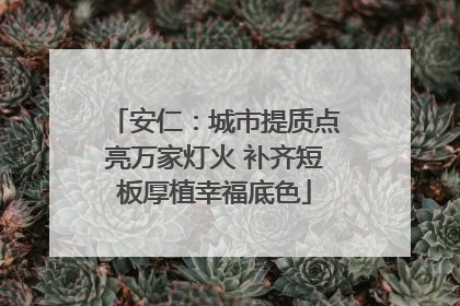 安仁：城市提质点亮万家灯火 补齐短板厚植幸福底色