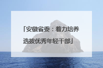 安徽省委：着力培养选拔优秀年轻干部