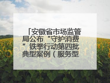 安徽省市场监管局公布“守护消费”铁拳行动第四批典型案例（服务型执法专刊）