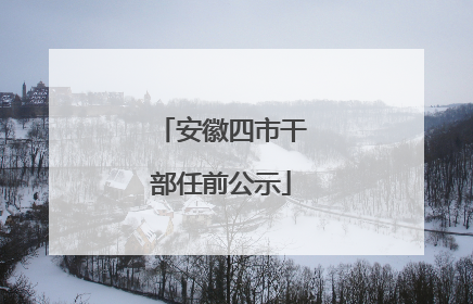 安徽四市干部任前公示
