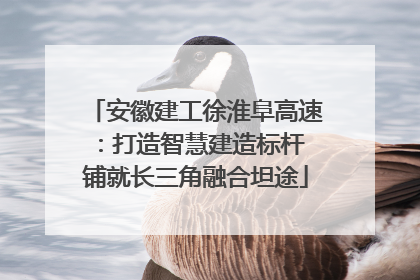 安徽建工徐淮阜高速：打造智慧建造标杆 铺就长三角融合坦途