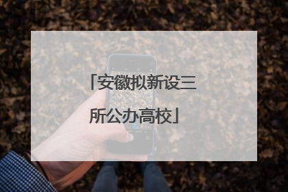 安徽拟新设三所公办高校
