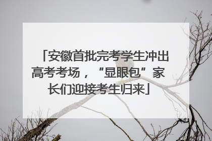 安徽首批完考学生冲出高考考场，“显眼包”家长们迎接考生归来