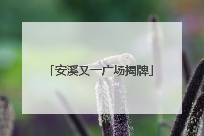 安溪又一广场揭牌