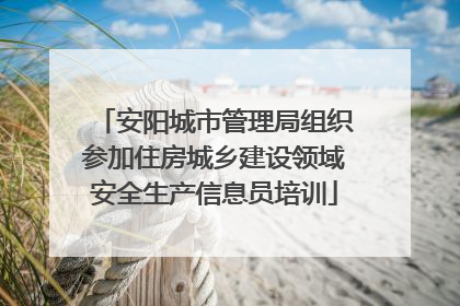 安阳城市管理局组织参加住房城乡建设领域安全生产信息员培训