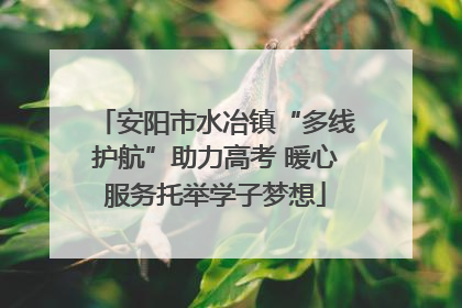 安阳市水冶镇“多线护航”助力高考 暖心服务托举学子梦想