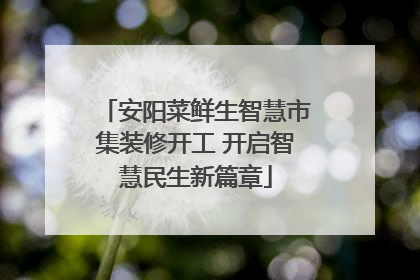 安阳菜鲜生智慧市集装修开工 开启智慧民生新篇章