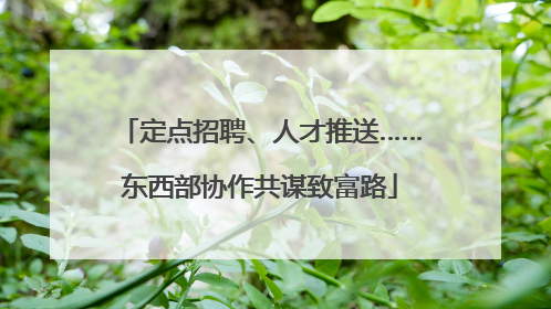 定点招聘、人才推送……东西部协作共谋致富路
