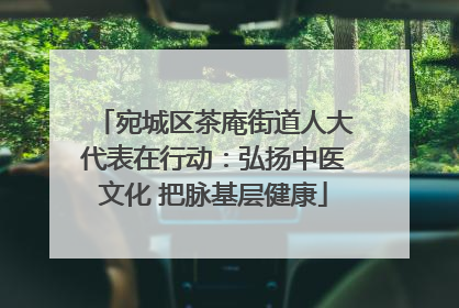 宛城区茶庵街道人大代表在行动：弘扬中医文化 把脉基层健康