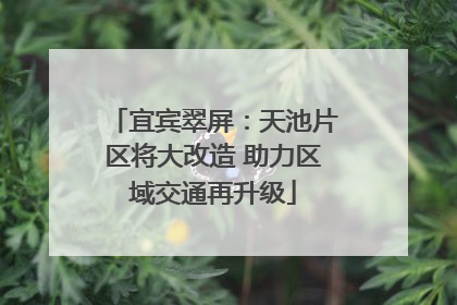 宜宾翠屏：天池片区将大改造 助力区域交通再升级