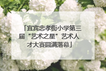 宜宾忠孝街小学第三届“艺术之星”艺术人才大赛圆满落幕