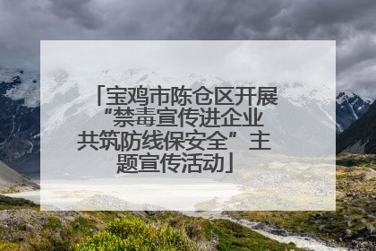 宝鸡市陈仓区开展“禁毒宣传进企业 共筑防线保安全”主题宣传活动