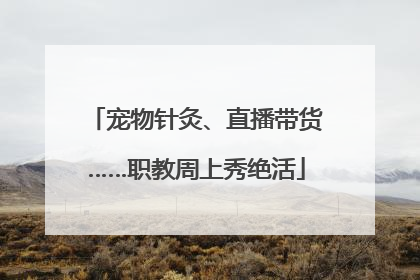 宠物针灸、直播带货……职教周上秀绝活