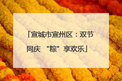 宣城市宣州区：双节同庆 “粽”享欢乐