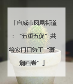 宣威市凤凰街道：“五重五促”共绘家门口务工“斑斓画卷”