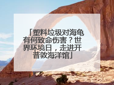 塑料垃圾对海龟有何致命伤害？世界环境日，走进开普敦海洋馆
