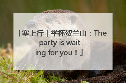 塞上行｜举杯贺兰山：The party is waiting for you！