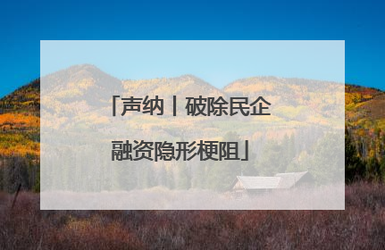 声纳丨破除民企融资隐形梗阻