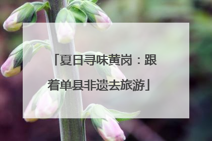 夏日寻味黄岗：跟着单县非遗去旅游