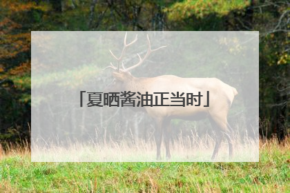夏晒酱油正当时