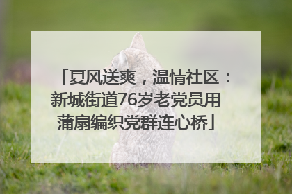 夏风送爽，温情社区：新城街道76岁老党员用蒲扇编织党群连心桥