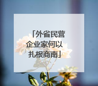 外省民营企业家何以扎根商南