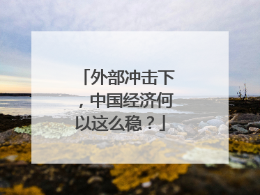 外部冲击下，中国经济何以这么稳？