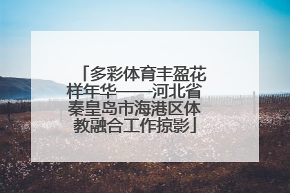 多彩体育丰盈花样年华——河北省秦皇岛市海港区体教融合工作掠影