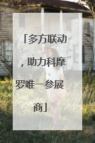 多方联动，助力科摩罗唯一参展商
