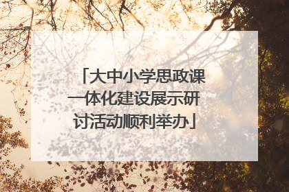 大中小学思政课一体化建设展示研讨活动顺利举办